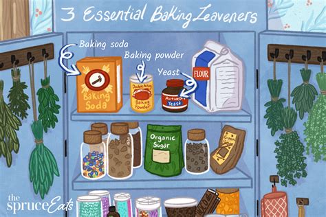 What Are The 7 Leavening Agents Fabalabse