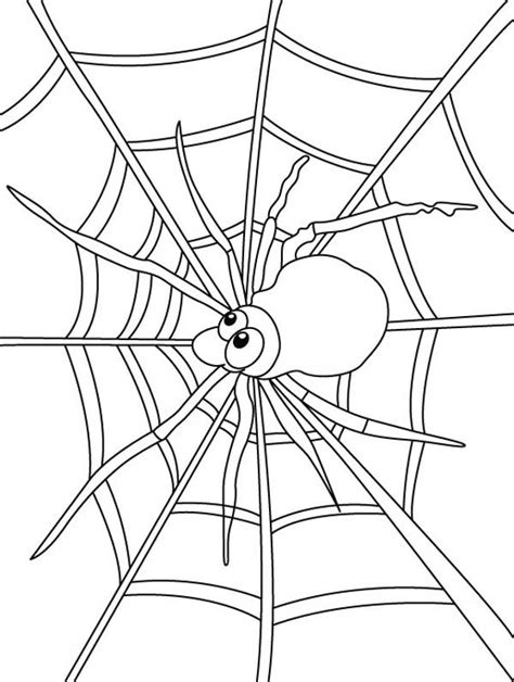 Home » coloring page arachnids » free printable spider web coloring pages. Spider Watch For Insect On Spider Web Coloring Page ...