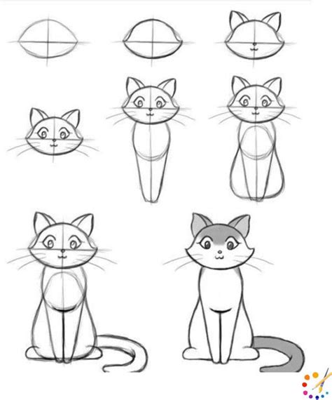 How To Draw A Cat Step By Step For Kids And Beginners
