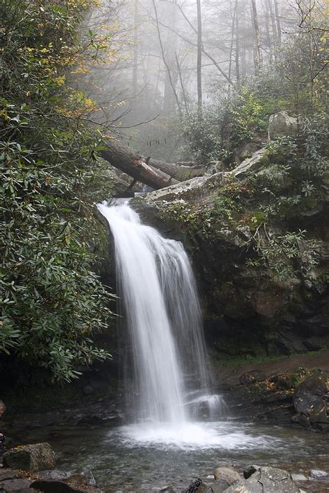 Grotto Falls Great Smoky Mountains Photograph By Chris Gibson Fine