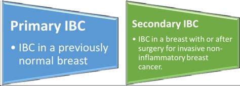 Classification Of Inflammatory Breast Cancer Ibc Download