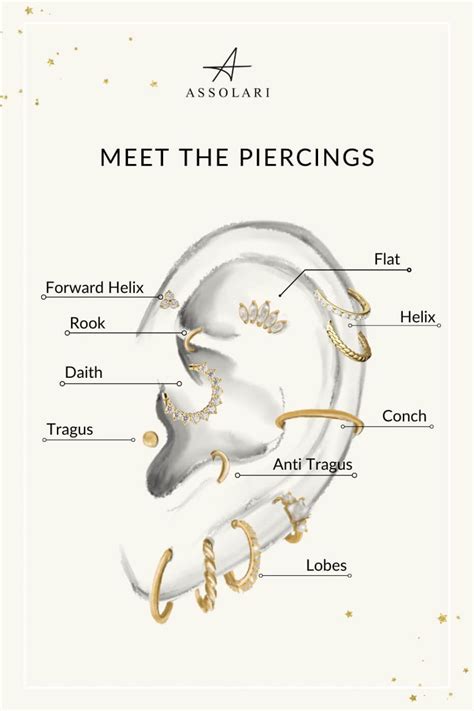 Cartilage Piercing Types Ear Piercings Chart Ear Piercing Diagram