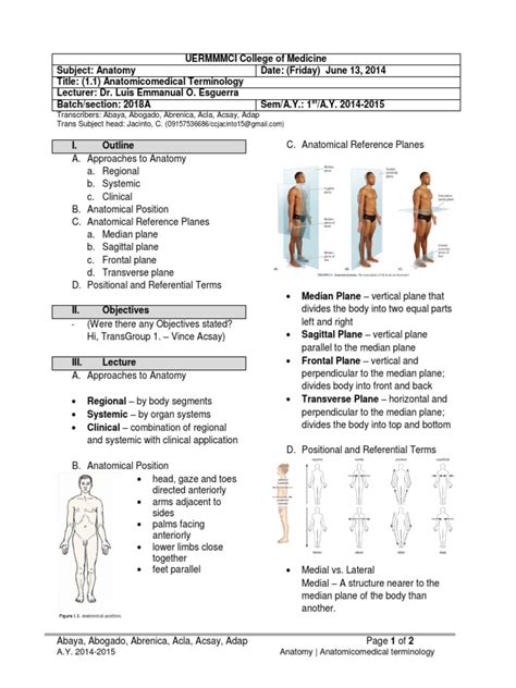 Anatomy 11 Anatomicomedical Terminology Pdf Anatomical Terms Of