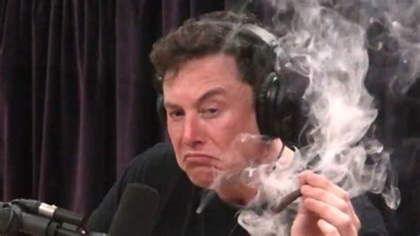 25 elon musk memes ranked in order of popularity and relevancy. Petition · Elon musk : Get Elon musk to host meme review ...
