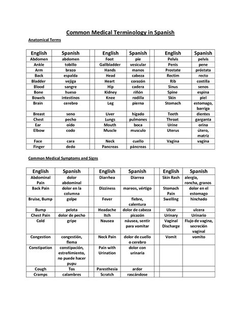 Cheat Sheet Printable Basic Medical Terminology List
