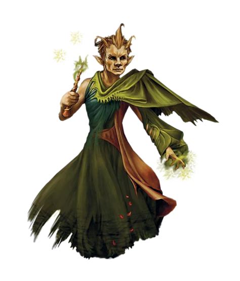 Male Gnome Druid Or Earth Sorcerer Pathfinder 2e Pfrpg Dnd Dandd 35 5e
