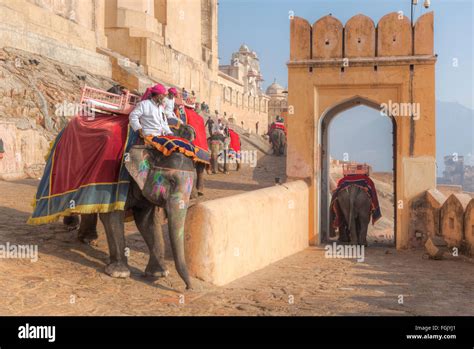 Elephant Ride Amer Fort Jaipur Rajasthan India Stock Photo Alamy