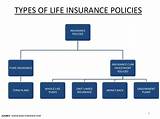 Types Of Life Insurance Policies Pdf Photos