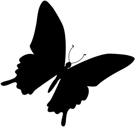 Black And White Butterfly Png Png Image Collection