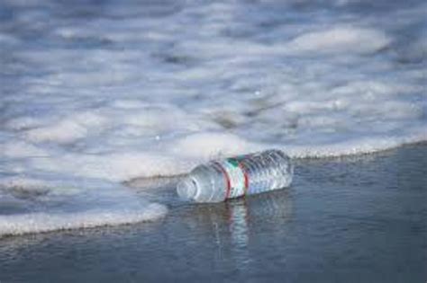 Maldives Records Highest Microplastic Pollution Nexus Newsfeed