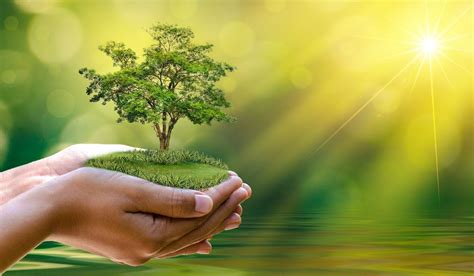 World environment day is the united nations day for encouraging worldwide awareness and action to protect our environment. 20 Inspirational World Environment Day Quotes | Balanced ...