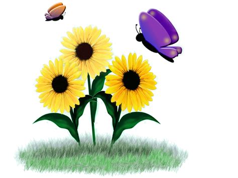 Animated Sunflower Clip Art Desktop Background 864 X 648 Flower