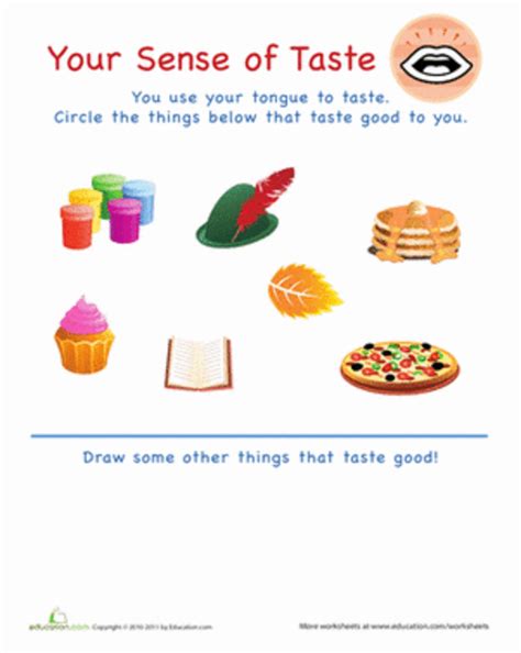 Teaching Sense of Taste to Kids - Five Senses | HubPages