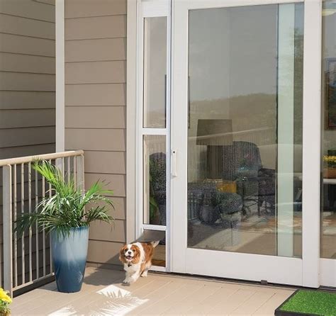Great for houses, apartments or condos, this pet door gives your pet easy access to the outdoors for exercise, potty breaks or family time on the patio. Pet entry and exit panels for sliding glass doors - nj.com