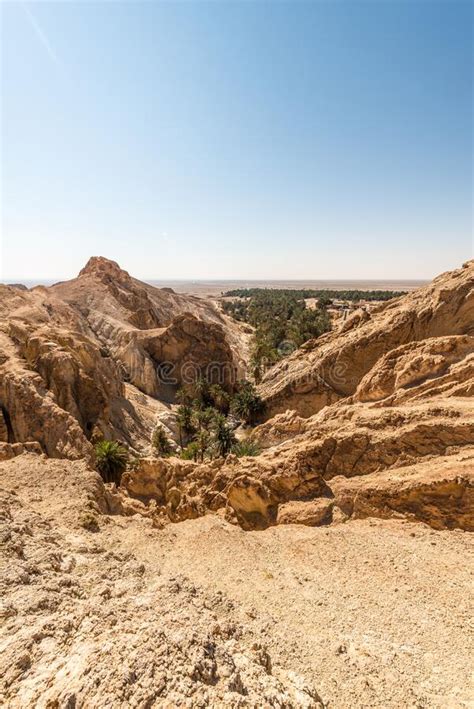 Chebika Oasis In Tozeur Tunisia Stock Image Image Of Eroded Cliff