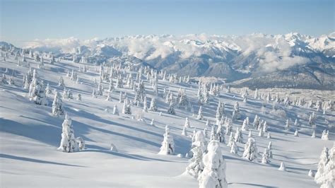 Winter Snow Landscape Wallpapers Top Free Winter Snow Landscape