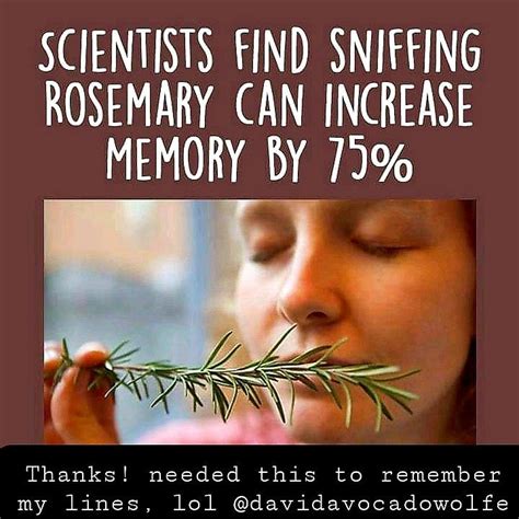 Davidavocadowolfe Davidavocadowolfe Scientist Find Sniffing Rosemary