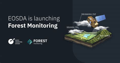 Eosda To Launch Forest Management Software Eos Forest Monitoring