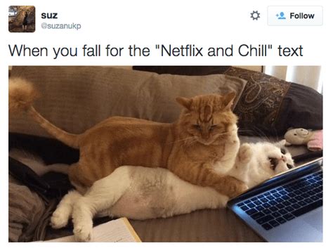 15 Examples Of What It Means To Netflix And Chill Dating Fails