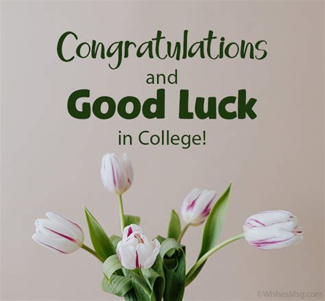 Best Wishes And Good Luck Messages For College Wishesmsg