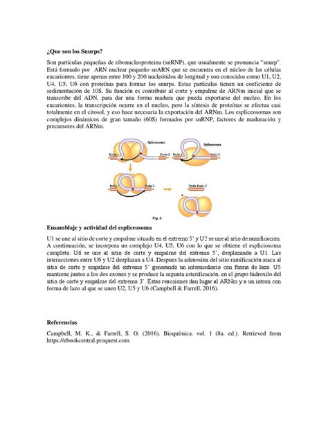 Snurps 1 Pdf