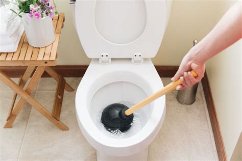 5 Reasons Your Toilet Keeps Clogging Youtube Riset