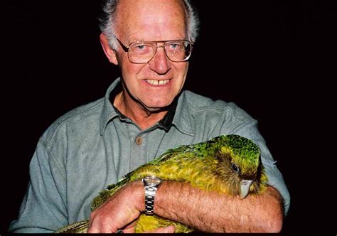 Kakapo, World's Largest Parrot | Animal Photo