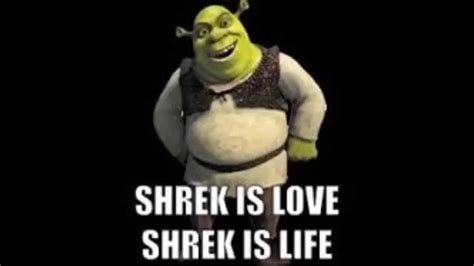 18 Inspirational Quotes From Shrek Richi Quote