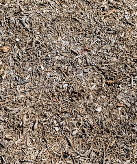 Why So Many Home Owners Are Switching To Bark Dust For Their