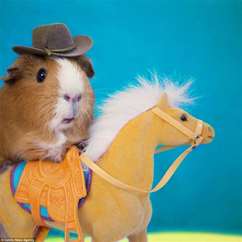 The Adorable Costumes Given To Animals On Dress Up Your Pet Day Daily