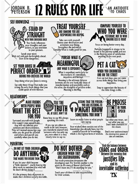 12 Rules For Life Visual Book Jordan B Peterson Poster For Sale By