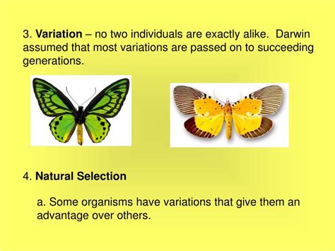 ppt theory of natural selection powerpoint presentation free download id 354796