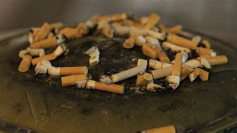 Half of smokers throw cigarette ends down the drain despite pollution ...
