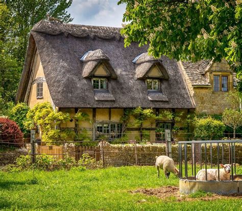 A Cozy Thatched Cottage In Broadway In The English Cotswolds