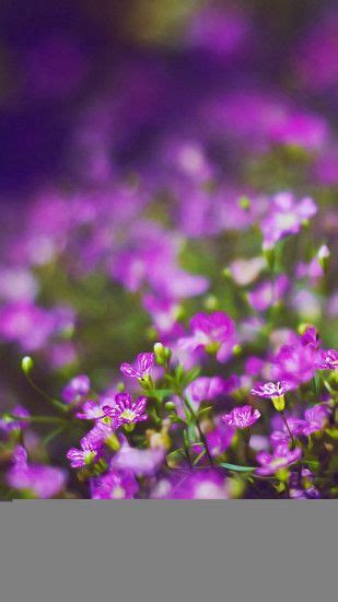 Purple Flowers Wallpapers ·① Wallpapertag