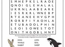 2nd Grade Science Worksheets & Free Printables | Education.com