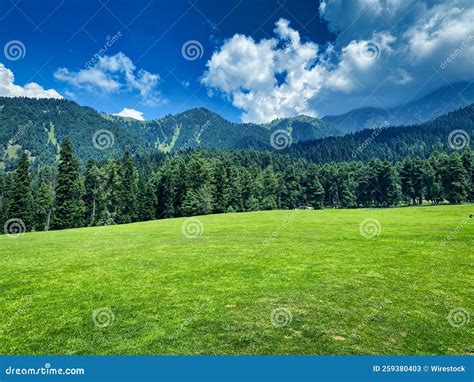 Scenic View Of A Green Valley And Mountain Forests With Dense Fir Trees