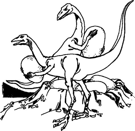 Ook zijn er dinosaurussen die in het water leefden en vliegende reptielen pterosauriërs. Dinosaurus Kleurplaat Dieren Kleurplaat » Animaatjes.nl