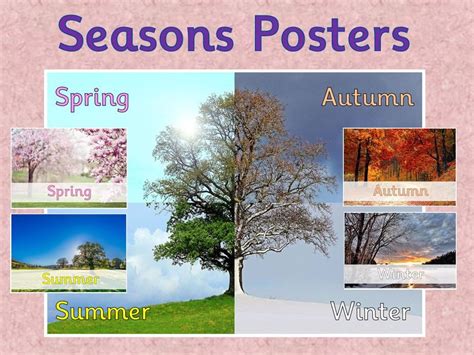 Seasons Posters Senses Teaching Resources