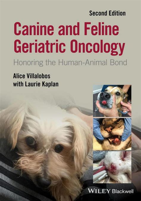 Canine And Feline Geriatric Oncology Honoring The Human Animal Bond