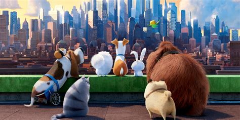 Secret Life of Pets: Off the Leash Set to Open on 27th March at