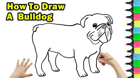 How To Draw A Bulldog Step By Step Easy At Drawing Tutorials