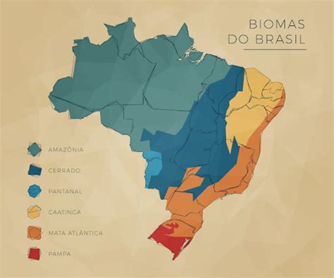 Biomas Brasileiros Quais São Características Mundo Educação