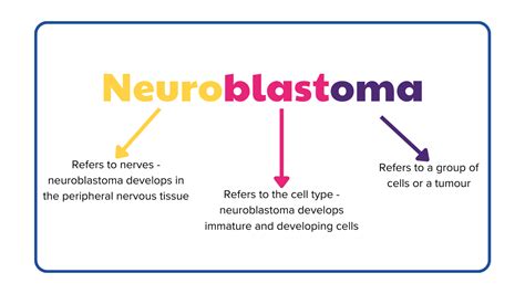 Neuroblastoma Solving Kids Cancer