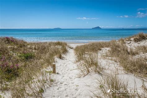 Best Nude Beaches New Zealand Has On Offer Clothes Optional New Zealand Travel Tips