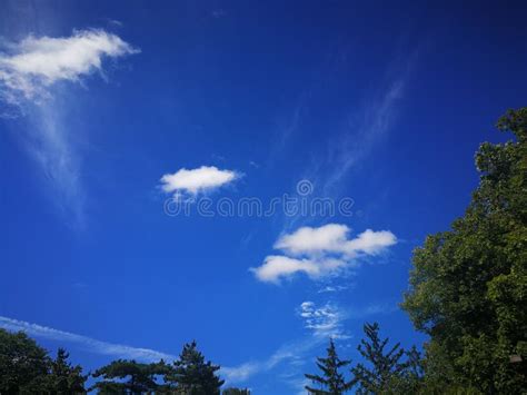 Beautiful Fluffy White Small White Clouds In Deep Blue Sky Over Forest