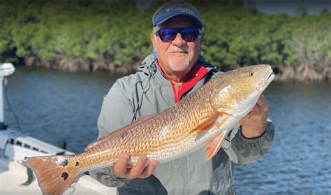 10 Surprising Facts You Should Know About Redfish Aquabuzz