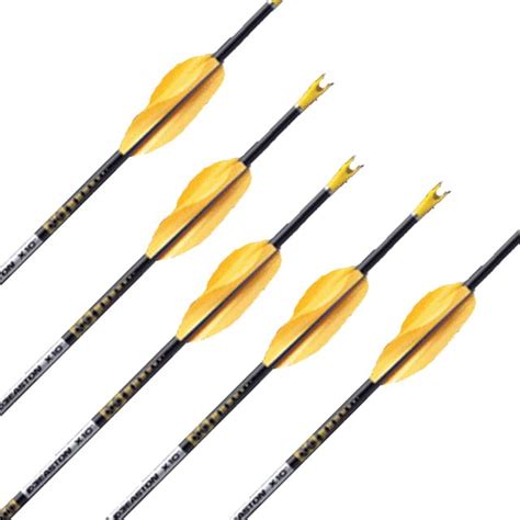 Easton X10 Complete Arrows X 12 Custom Built Archery