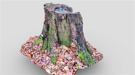 Rotten Tree Stump Download Free 3d Model By Hullken 9aa19e7 Sketchfab