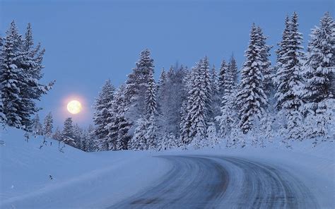 Snowy Forest Road Moon Night Wallpapers Snowy Forest